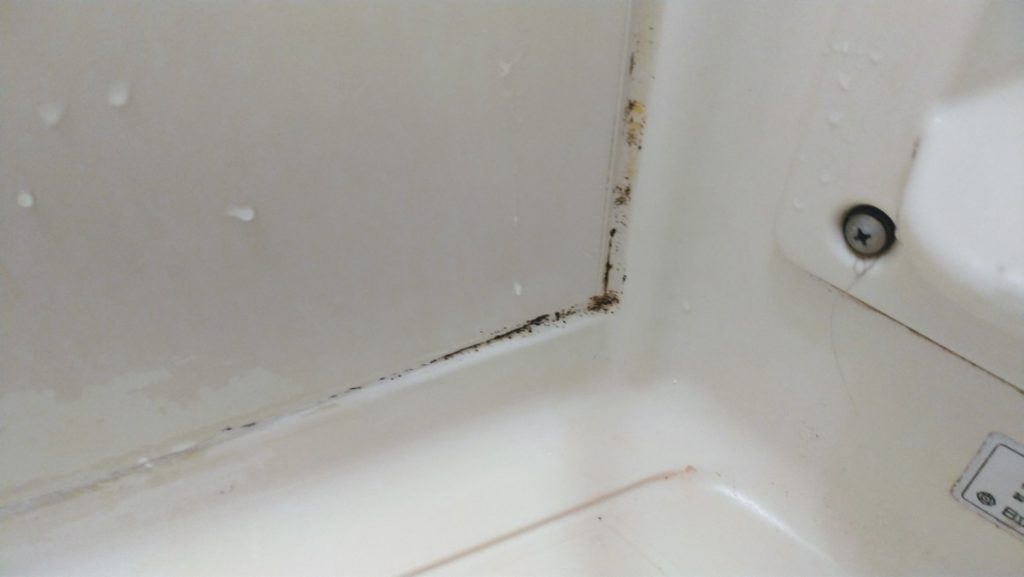 bath mold remover3